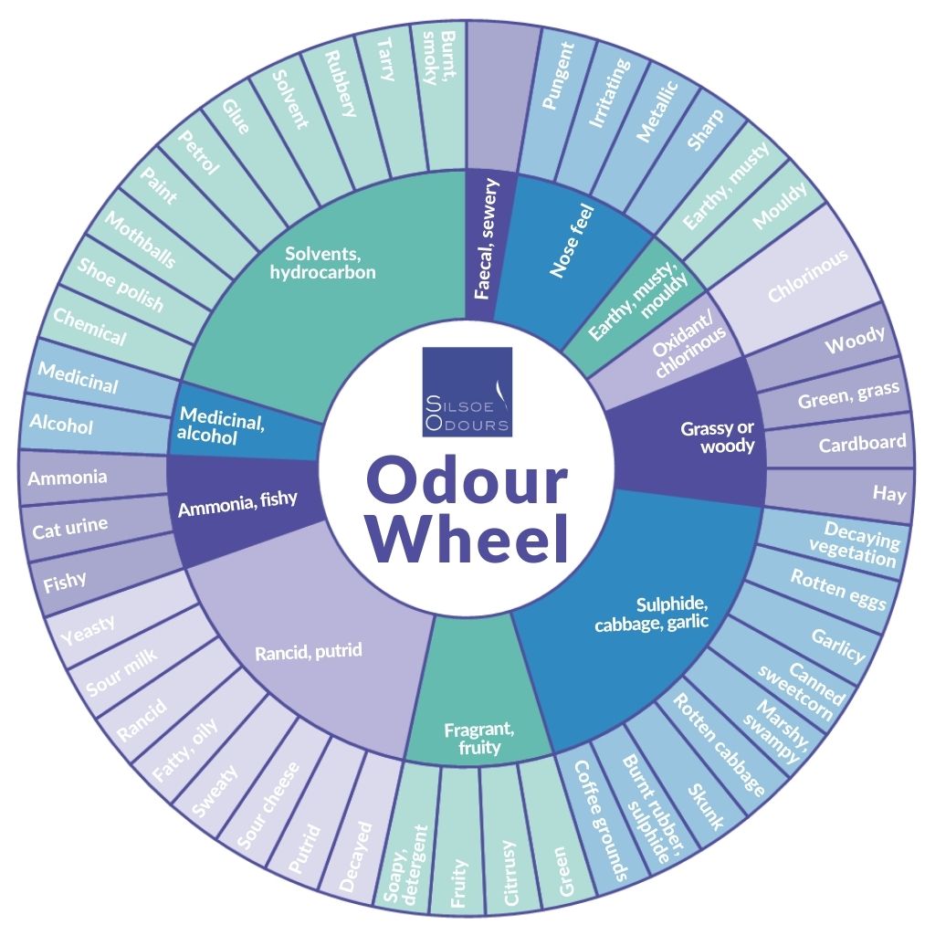 An odour wheel can be helpful during training. It helps panel members understand odour categories and references, and provides a structured reference framework. 